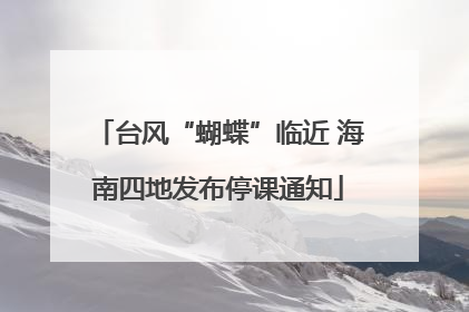 台风“蝴蝶”临近 海南四地发布停课通知