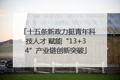 十五条新政力挺青年科技人才 赋能“13+34”产业链创新突破