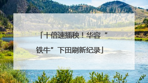 十倍速插秧！华容“铁牛”下田刷新纪录