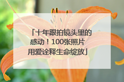 十年跟拍镜头里的感动！100张照片用爱诠释生命绽放