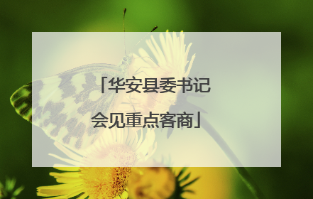 华安县委书记会见重点客商