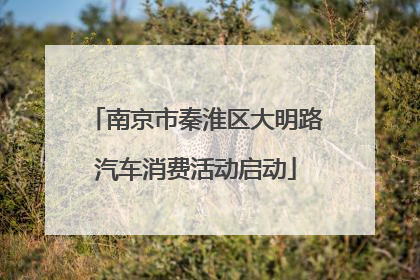 南京市秦淮区大明路汽车消费活动启动