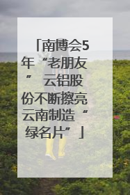 南博会5年“老朋友” 云铝股份不断擦亮云南制造“绿名片”