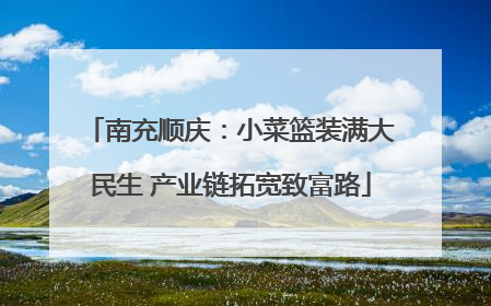 南充顺庆：小菜篮装满大民生 产业链拓宽致富路