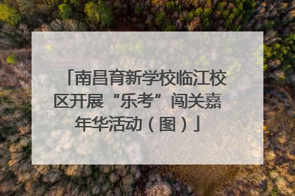 南昌育新学校临江校区开展“乐考”闯关嘉年华活动（图）