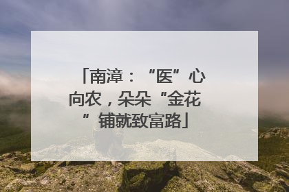 南漳：“医”心向农，朵朵“金花”铺就致富路