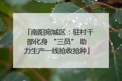 南阳宛城区：驻村干部化身 “三员” 助力生产一线抢收抢种