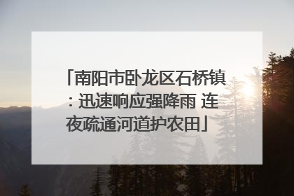 南阳市卧龙区石桥镇：迅速响应强降雨 连夜疏通河道护农田