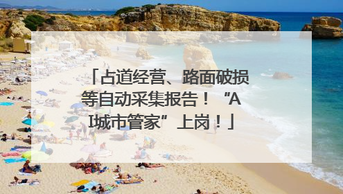 占道经营、路面破损等自动采集报告！“AI城市管家”上岗！