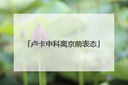 卢卡申科离京前表态