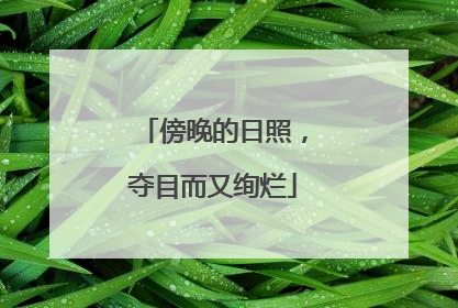 傍晚的日照，夺目而又绚烂