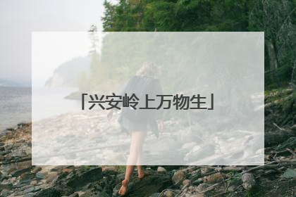 兴安岭上万物生