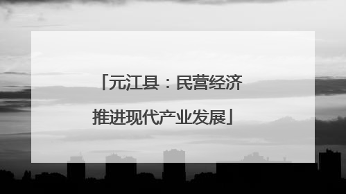 元江县：民营经济推进现代产业发展