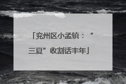 兖州区小孟镇：“三夏”收割话丰年