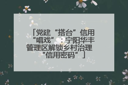 党建“搭台”信用“唱戏”：宁阳华丰管理区解锁乡村治理“信用密码”