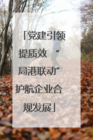 党建引领提质效 “局港联动”护航企业合规发展