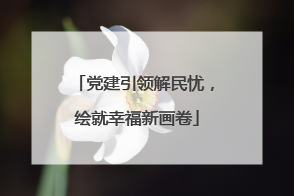 党建引领解民忧，绘就幸福新画卷