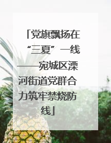 党旗飘扬在“三夏”一线——宛城区溧河街道党群合力筑牢禁烧防线