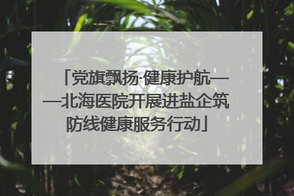 党旗飘扬·健康护航——北海医院开展进盐企筑防线健康服务行动