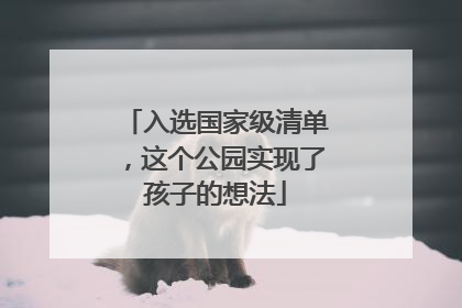 入选国家级清单，这个公园实现了孩子的想法