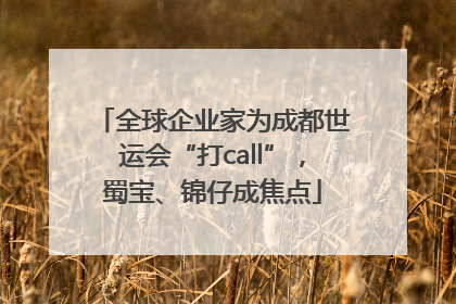 全球企业家为成都世运会“打call”，蜀宝、锦仔成焦点