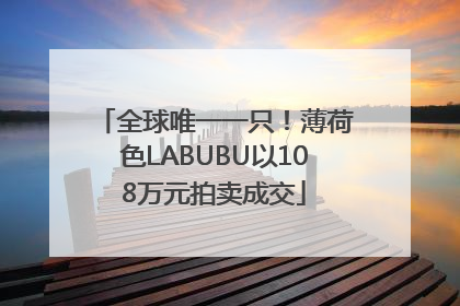 全球唯一一只！薄荷色LABUBU以108万元拍卖成交