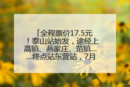 全程票价17.5元！泰山站始发，途经上高镇、燕家庄、范镇……终点站东营站，7月1日开通！