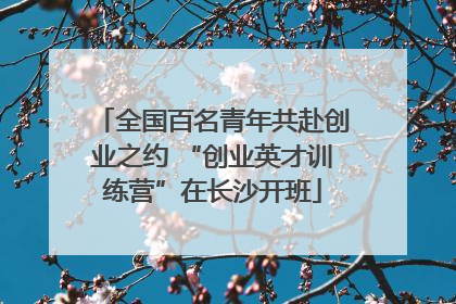 全国百名青年共赴创业之约 “创业英才训练营”在长沙开班