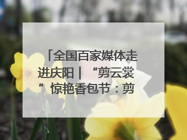全国百家媒体走进庆阳｜“剪云裳”惊艳香包节：剪纸跃上华服 非遗焕发新彩