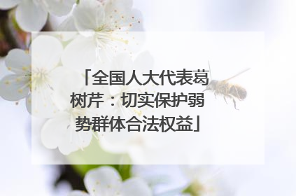 全国人大代表葛树芹：切实保护弱势群体合法权益
