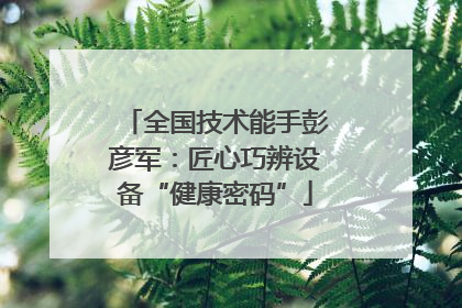 全国技术能手彭彦军：匠心巧辨设备“健康密码”