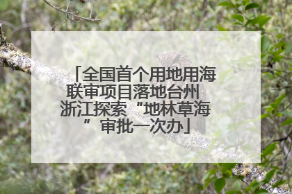 全国首个用地用海联审项目落地台州 浙江探索“地林草海”审批一次办