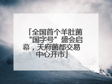 全国首个羊肚菌“国字号”盛会启幕，天府菌都交易中心开市