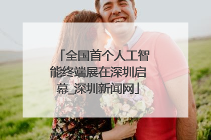 全国首个人工智能终端展在深圳启幕_深圳新闻网