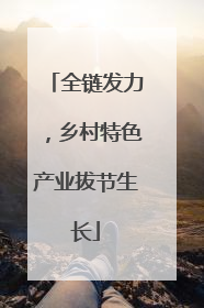 全链发力，乡村特色产业拔节生长