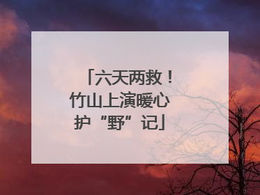 六天两救！竹山上演暖心护“野”记