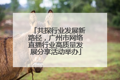 共探行业发展新路径，广州市网络直播行业高质量发展分享活动举办