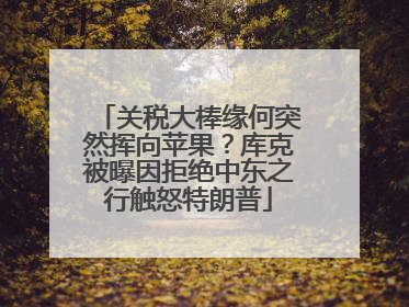 关税大棒缘何突然挥向苹果？库克被曝因拒绝中东之行触怒特朗普