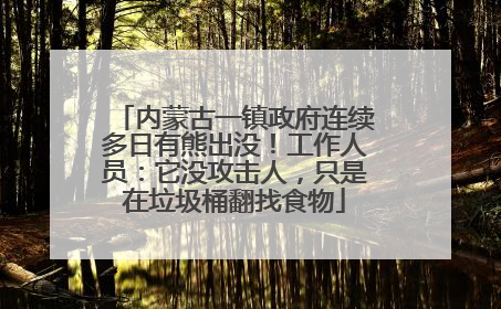 内蒙古一镇政府连续多日有熊出没！工作人员：它没攻击人，只是在垃圾桶翻找食物