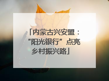 内蒙古兴安盟：“阳光银行”点亮乡村振兴路