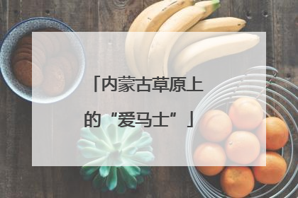内蒙古草原上的“爱马士”