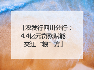 农发行四川分行：4.4亿元贷款赋能夹江“粮”方