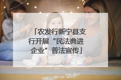 农发行新宁县支行开展“民法典进企业”普法宣传