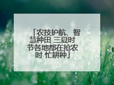 农技护航、智慧种田 三夏时节各地都在抢农时 忙耕种