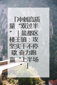 冲刺高质量“双过半”｜盐都区楼王镇：攻坚实干不停歇 奋力跑赢“上半场”
