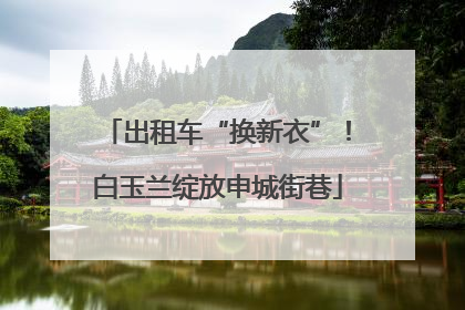 出租车“换新衣”！白玉兰绽放申城街巷