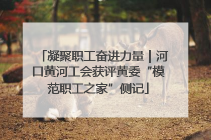 凝聚职工奋进力量｜河口黄河工会获评黄委“模范职工之家”侧记