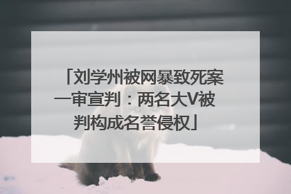 刘学州被网暴致死案一审宣判：两名大V被判构成名誉侵权