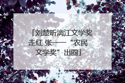 刘楚昕漓江文学奖走红 张一一“农民文学奖”出圈