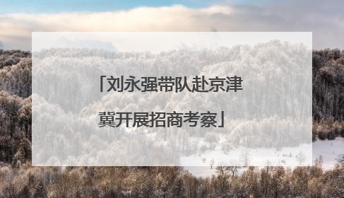 刘永强带队赴京津冀开展招商考察